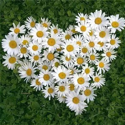 365体育官网入口截图